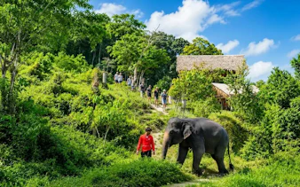 Tourists walking with an elephant at an ethical sanctuary in Phuket's lush greenery.