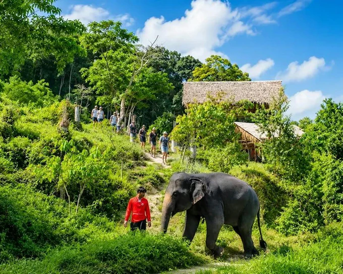 Phuket Private Highlights Tour with Ethical Elephant Experience, Karon Viewpoint, Big Buddha, Wat Chalong, and Old Town (Product 55866)