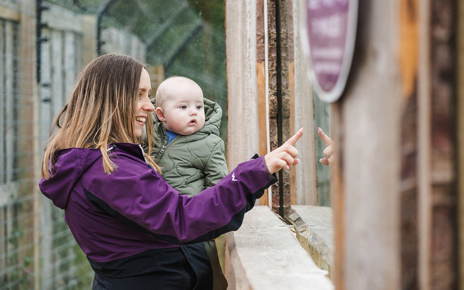 Guests observing animals through glass at Highland Wildlife Park.