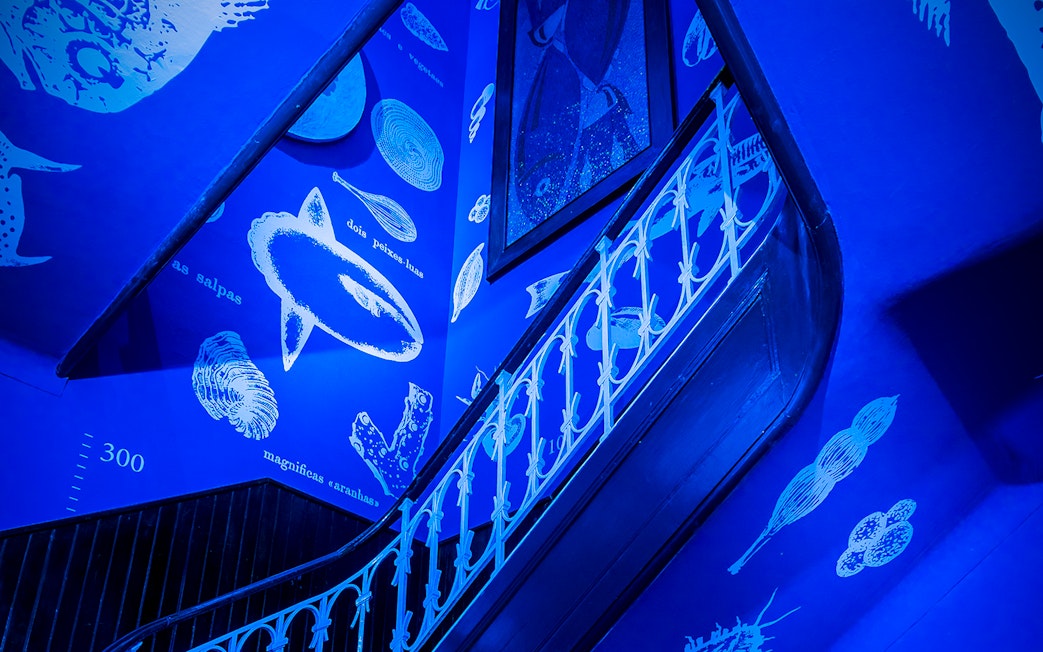 Staircase with marine life illustrations at Vasco da Gama Aquarium, Lisbon.