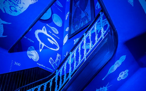 Staircase with marine life illustrations at Vasco da Gama Aquarium, Lisbon.