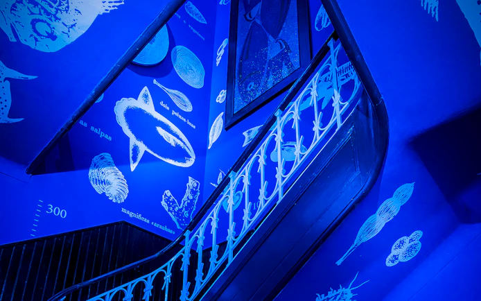 Staircase with marine life illustrations at Vasco da Gama Aquarium, Lisbon.