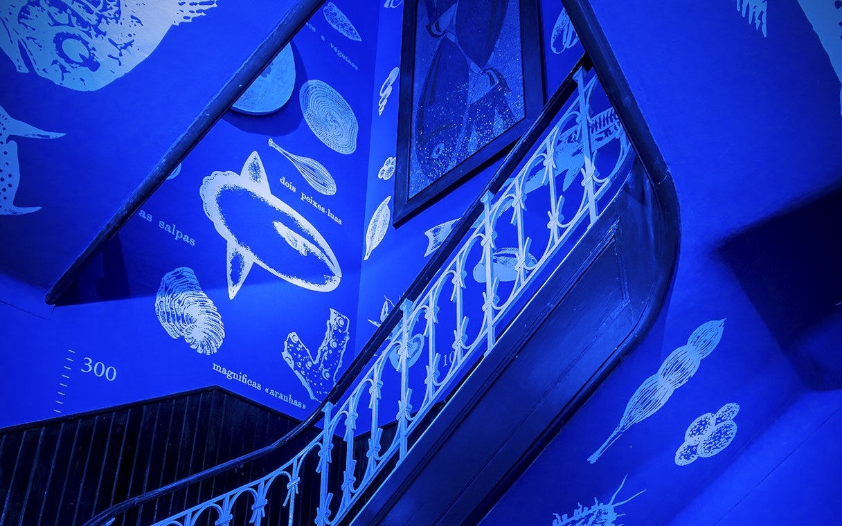 Staircase with marine life illustrations at Vasco da Gama Aquarium, Lisbon.