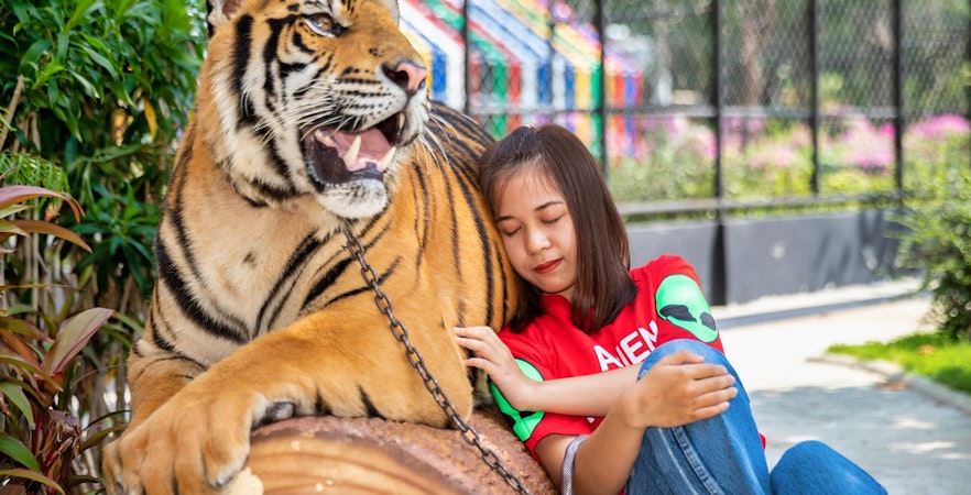 Grădina zoologică SriRacha Tiger