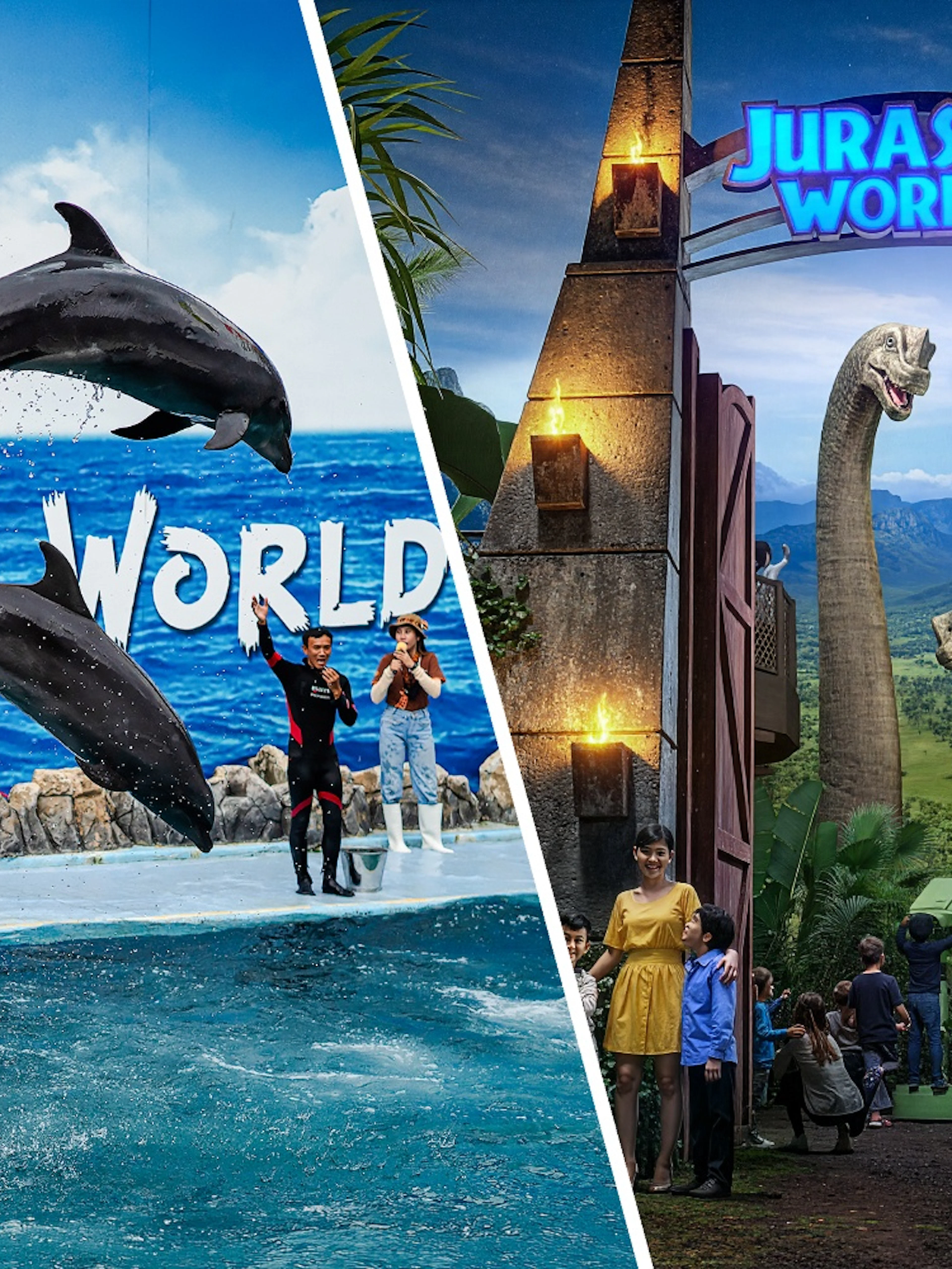Dolphins performing with trainers at Marine Park; visitors entering Jurassic World through jungle gate.
