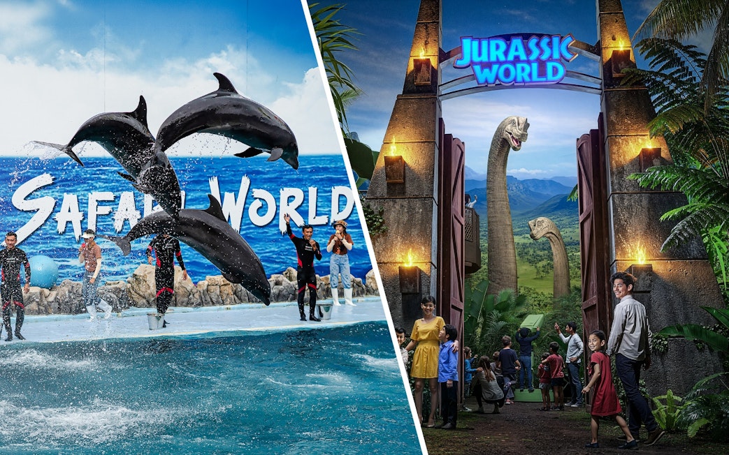 Dolphins performing with trainers at Marine Park; visitors entering Jurassic World through jungle gate.