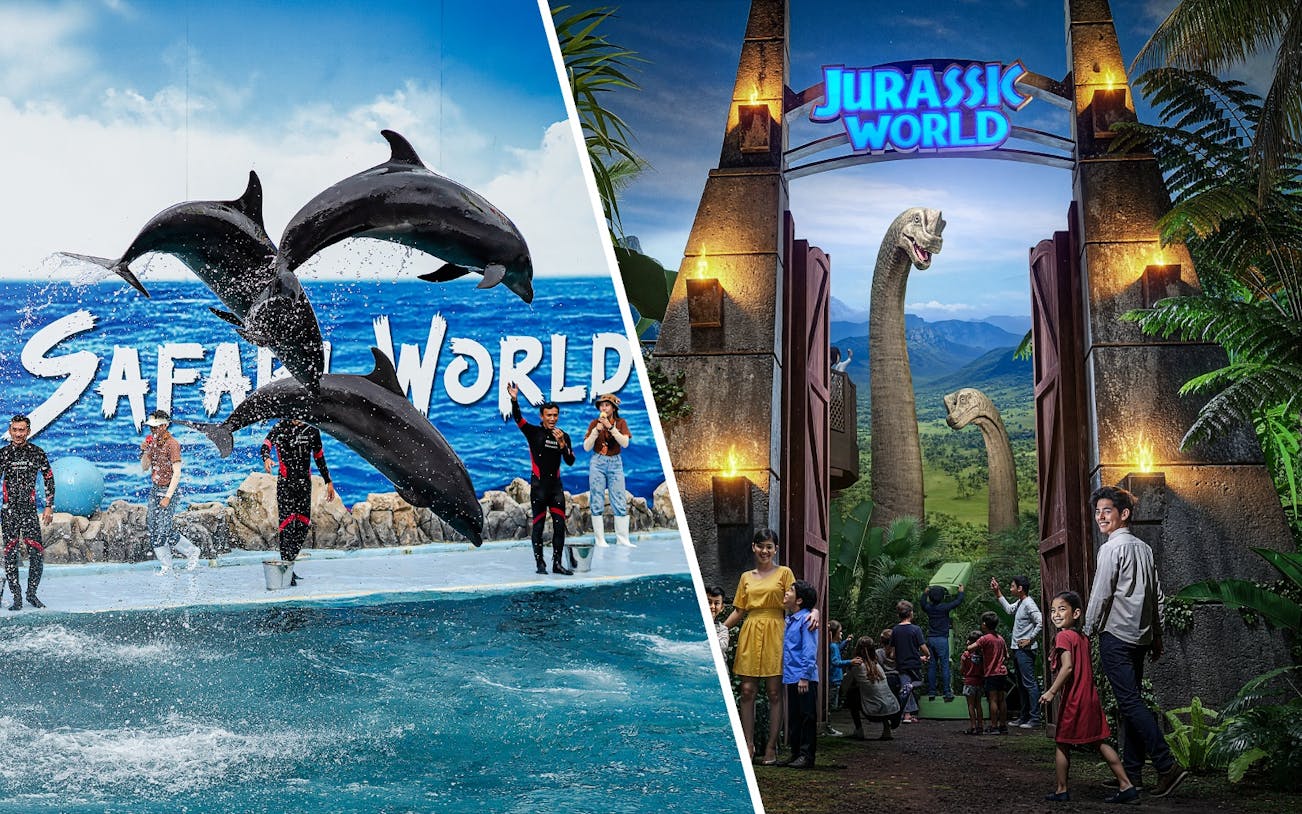 Dolphins performing with trainers at Marine Park; visitors entering Jurassic World through jungle gate.