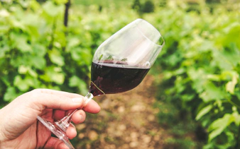 Hand holding a glass of red wine in a vineyard, Rio de Janeiro.