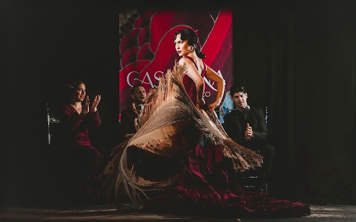 Flamenco dancer performing at Casa Ana Flamenco Show with musicians in the background.