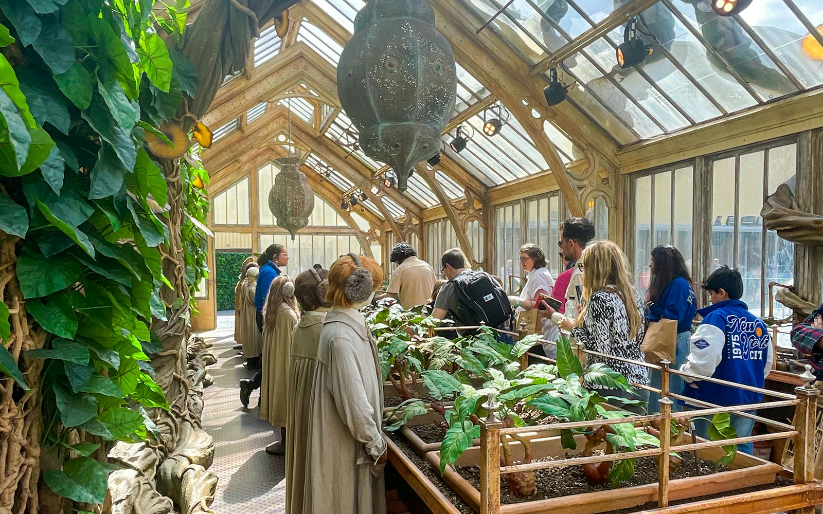 Professor Sprout's greenhouse with magical plants, Harry Potter London tour.
