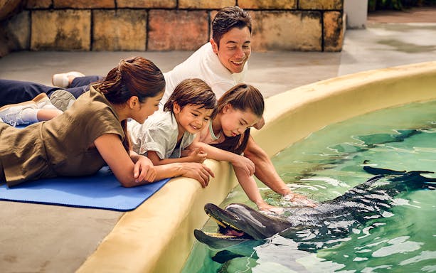 Family interacting with a dolphin at Singapore Oceanarium.