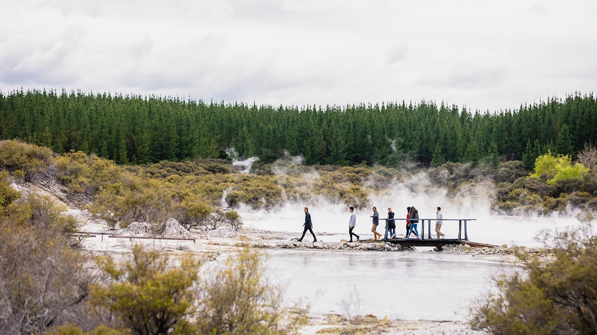 Tourists on a guided walk at Hells Gate Geothermal Park, New Zealand, with steam rising from the ground.