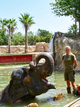 Elephant in water with zookeeper at Terra Natura Benidorm, Valencia.