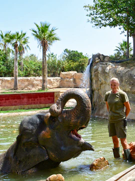 Elephant in water with zookeeper at Terra Natura Benidorm, Valencia.