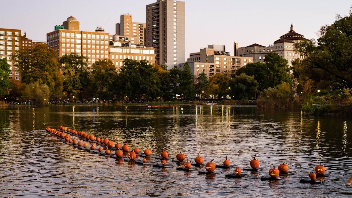Pumpkin flotilla on Central Park lake at dusk with city skyline in the background.