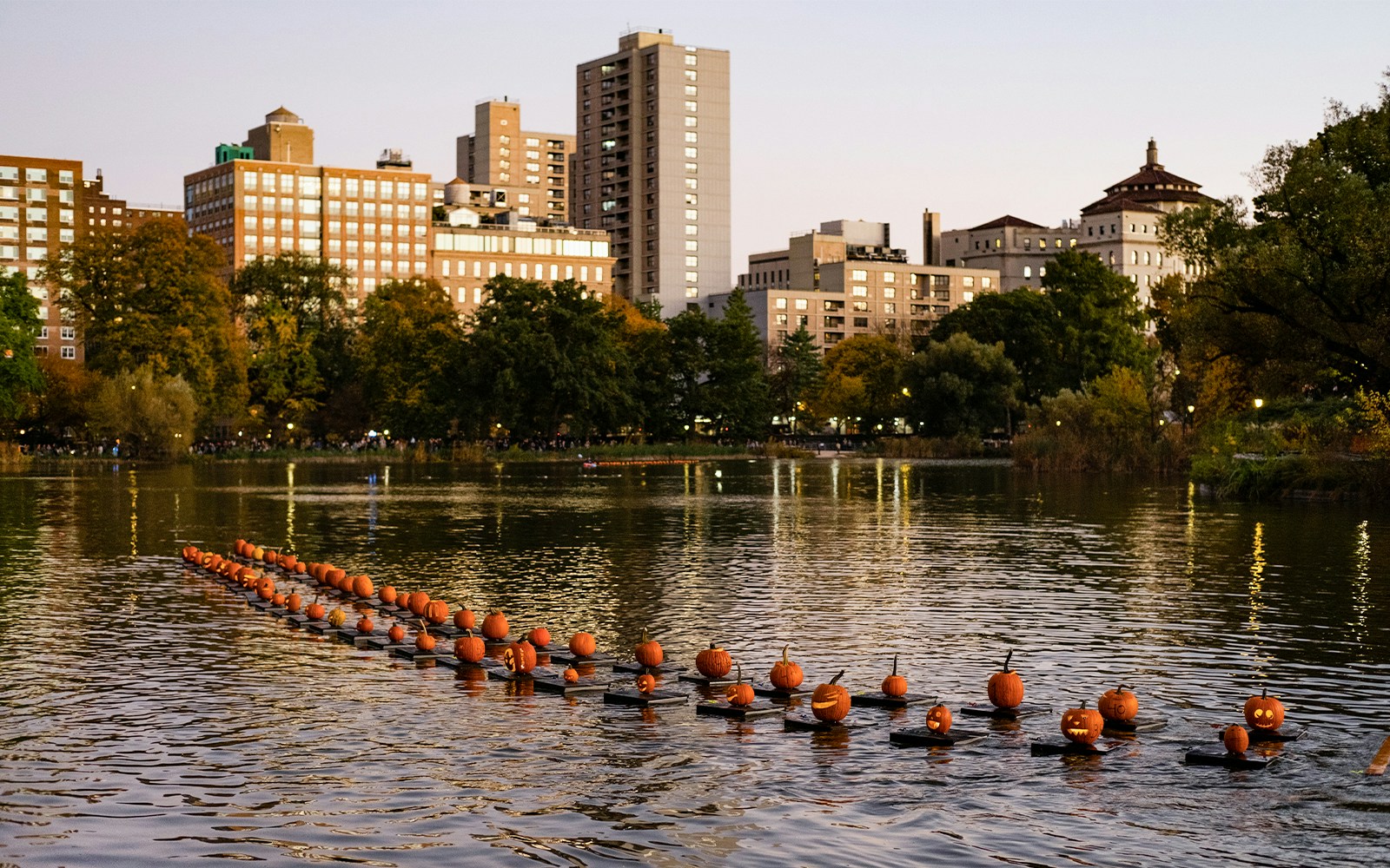 Pumpkin flotilla on Central Park lake at dusk with city skyline in the background.