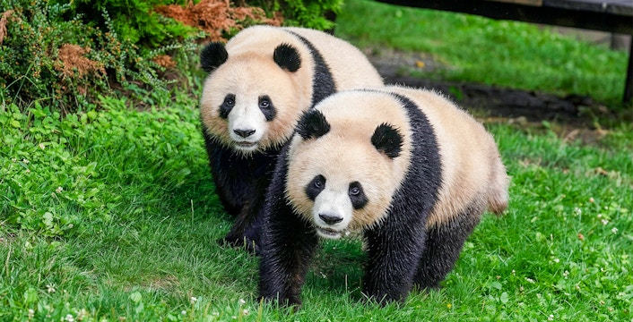 Loire Valley Zoo Tickets