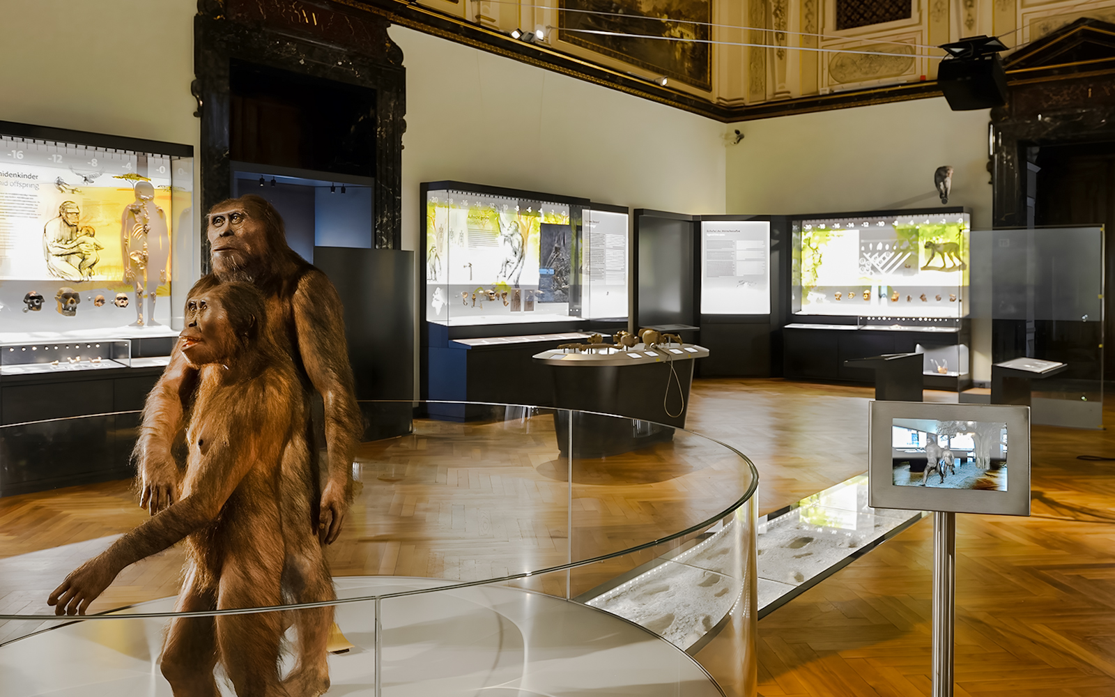 Hall of Human Evolution exhibit with early human models, Natural History Museum Vienna.