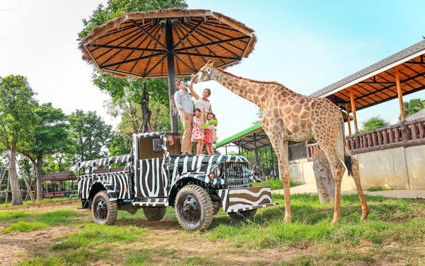 Family on zebra-striped jeep feeding giraffe at safari park.