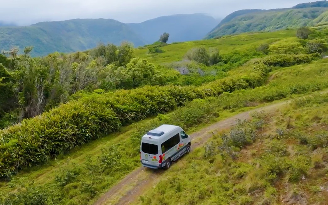 4x4 vehicle on a dirt path during Kohala Waterfalls Adventure, surrounded by lush greenery.