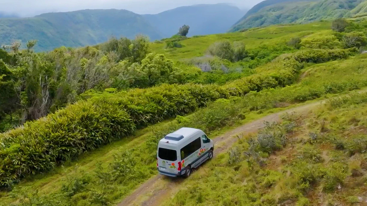 4x4 vehicle on a dirt path during Kohala Waterfalls Adventure, surrounded by lush greenery.