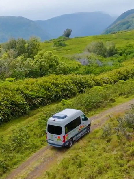 4x4 vehicle on a dirt path during Kohala Waterfalls Adventure, surrounded by lush greenery.