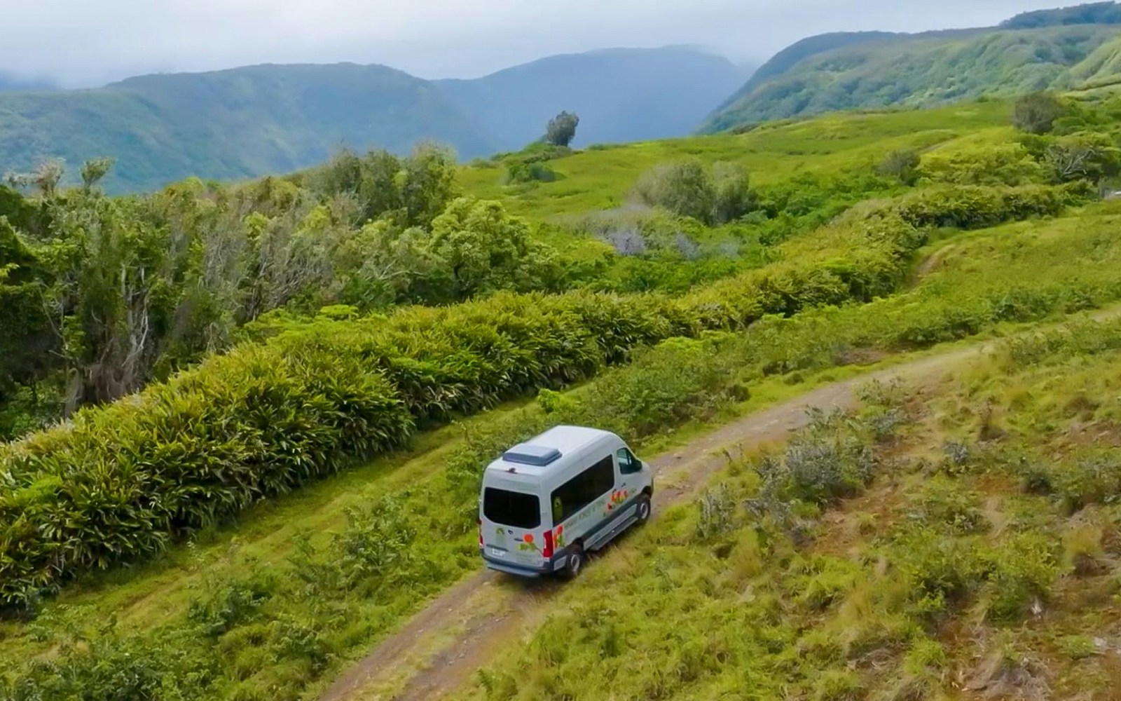 4x4 vehicle on a dirt path during Kohala Waterfalls Adventure, surrounded by lush greenery.