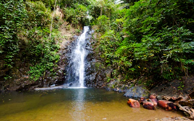 Langkawi Shared Shore Excursion: Cable Car, Sky Bridge & Kilim Geoforest Park Mangrove Tour
