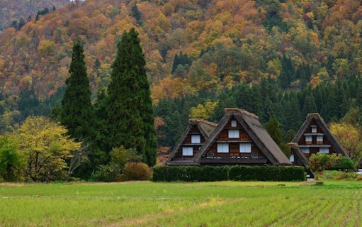 ticket für den express-bus von takayama nach shirakawa-go-4