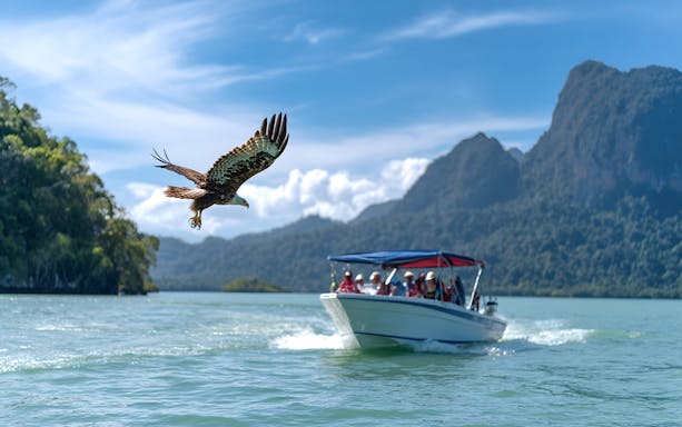 Eagle flying near a speedboat with tourists during Langkawi Island hopping tour.