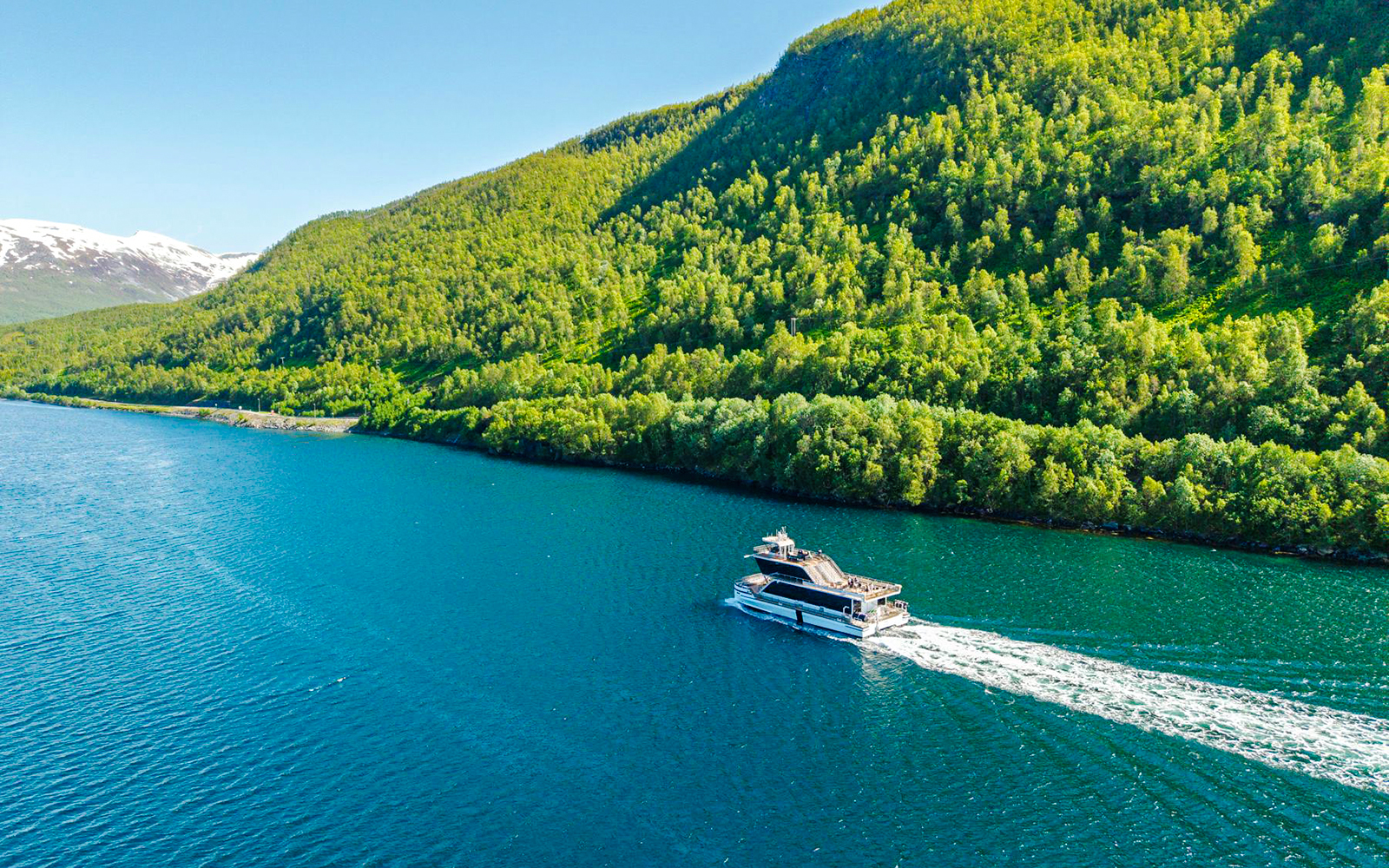 Cruise ship sailing through Arctic fjord with lush green hills.