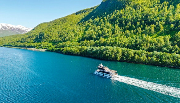 Cruise ship sailing through Arctic fjord with lush green hills.