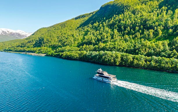 Cruise ship sailing through Arctic fjord with lush green hills.