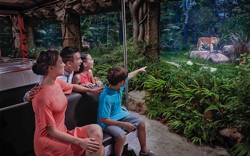Family observing a tiger at Singapore Zoo from a tram, part of the Singapore City Pass experience.
