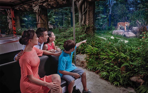 Family observing a tiger at Singapore Zoo from a tram, part of the Singapore City Pass experience.