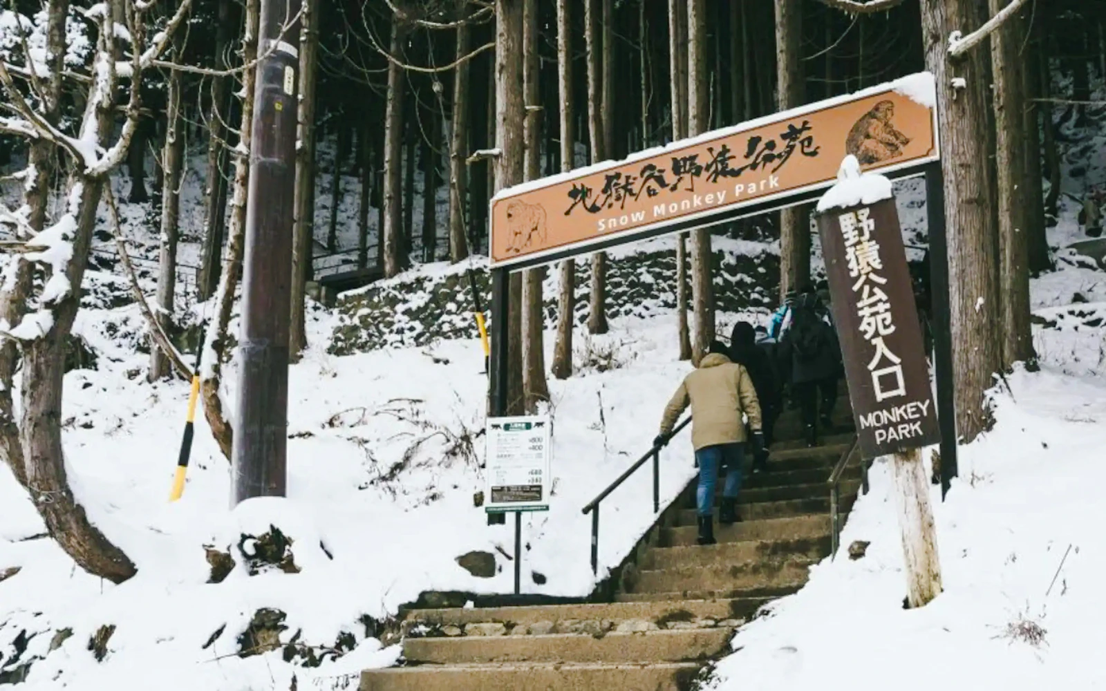 From Tokyo: Private Jigokudani Snow Monkey Park Day Trip with Driver Image 2