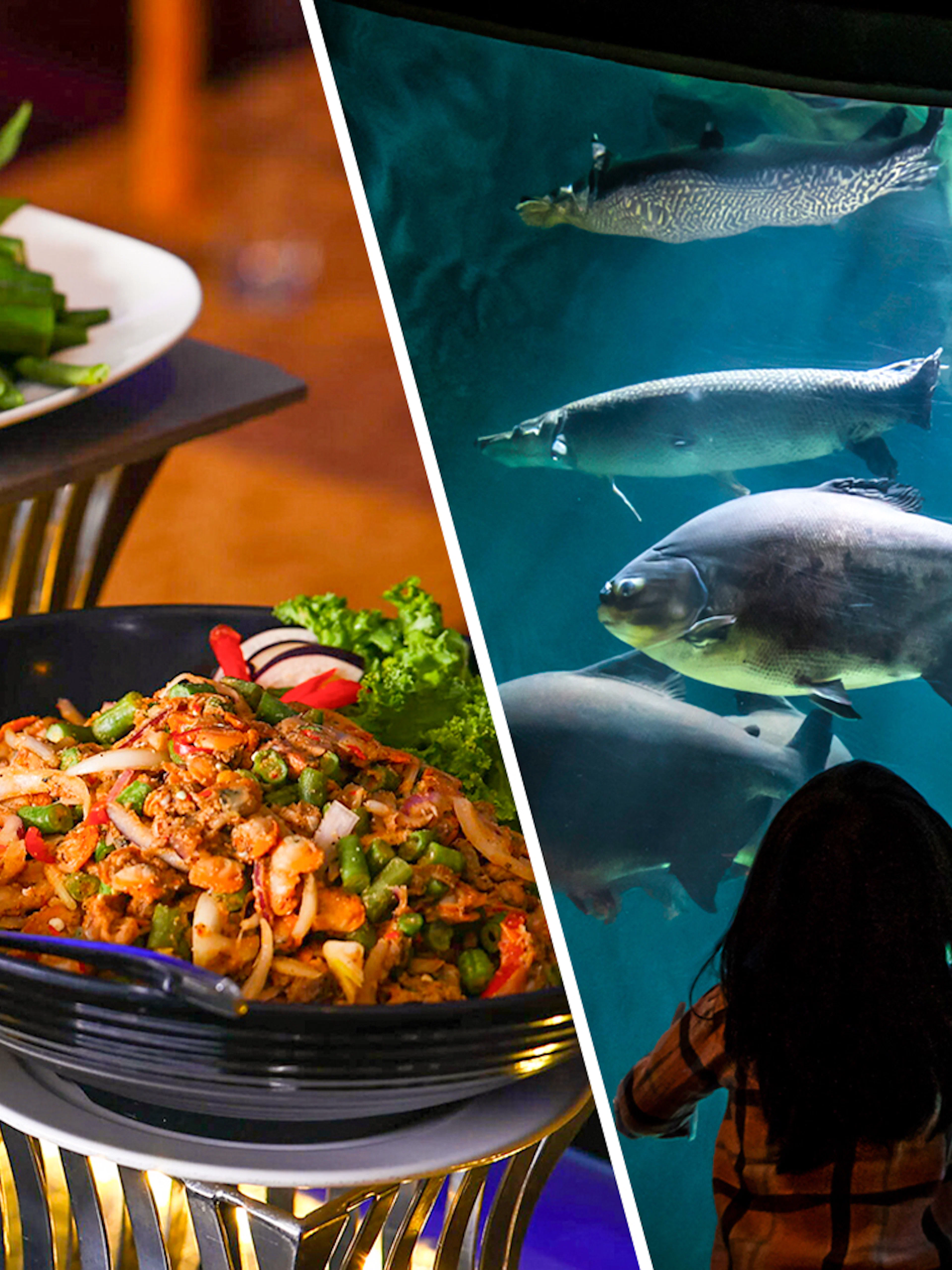 Dinner buffet at ARAS Restaurant and aquarium view at Aquaria KLCC in Kuala Lumpur.