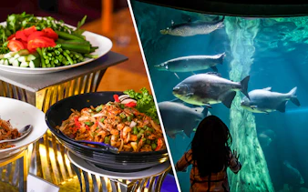 Dinner buffet at ARAS Restaurant and aquarium view at Aquaria KLCC in Kuala Lumpur.