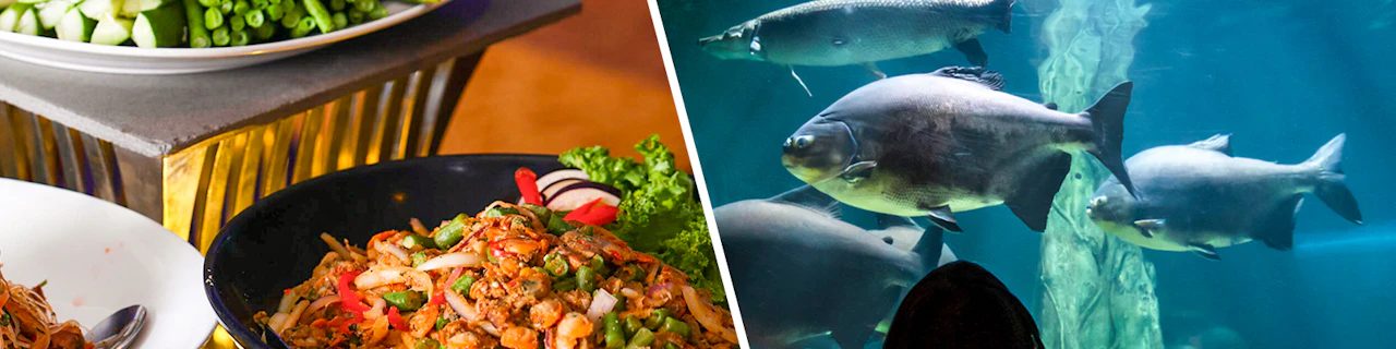 Combo: Cena a buffet presso il ristorante ARAS nella KL Tower + Biglietti per l'Aquaria KLCC