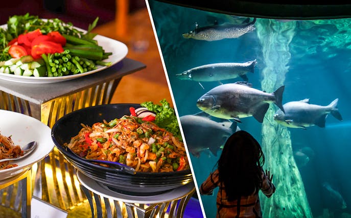 Dinner buffet at ARAS Restaurant and aquarium view at Aquaria KLCC in Kuala Lumpur.