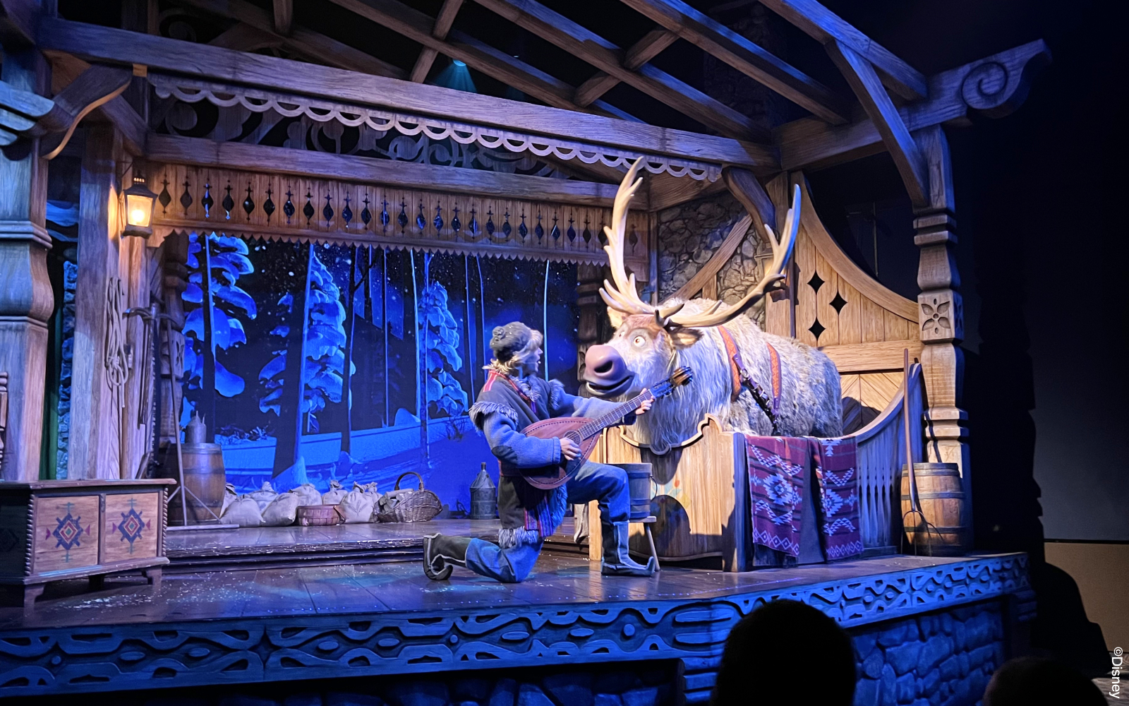 Elsa and Anna performing on stage at Disneyland Paris during Frozen: A Musical Invitation.
