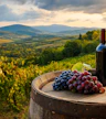 Four Pillars/Payten & Jones Wine (Jayden Ong Winery, Watts River Brewery, Giammarino Wines)