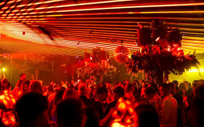 Crowd enjoying nightlife at Baloo Ibiza with vibrant lighting and decor.