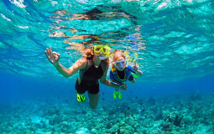 Snorkelers exploring coral reef in Waikiki, Hawaii.