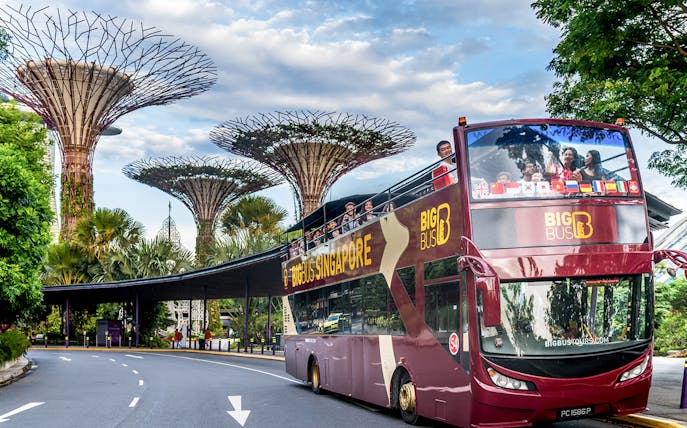 Hop-on hop-off bus near Supertree Grove, Singapore, with tourists on the upper deck.