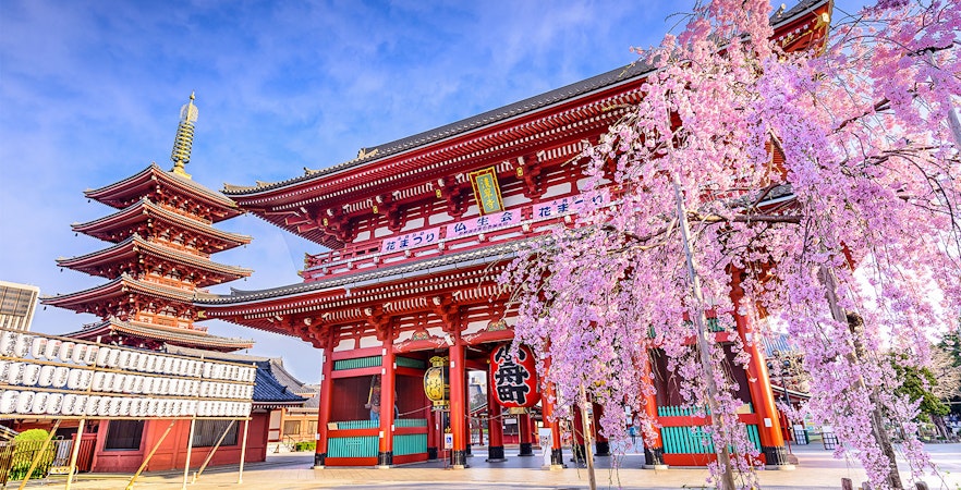 Tokyo Adventure tickets