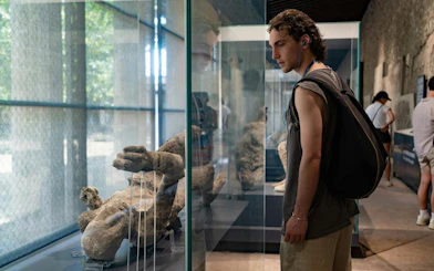 Visitor observing plaster cast victim display at Pompeii museum exhibit.
