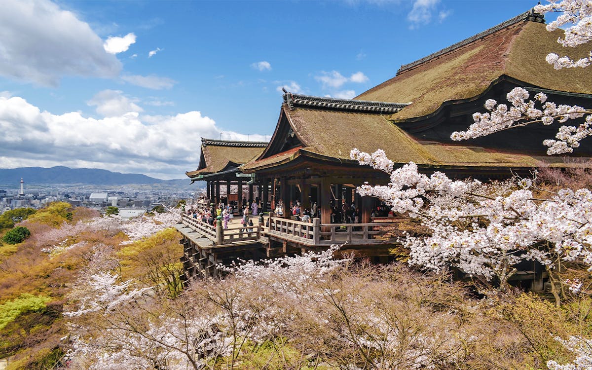 kyoto sagano romantic train day tour from osaka namba-7 kyoto sagano romantic train day tour from osaka namba-7