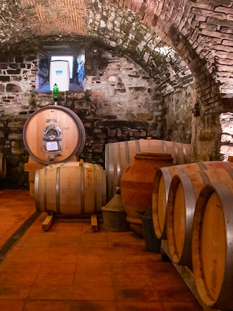 Wine barrels in a rustic cellar in Chianti, Tuscany, part of the semi-private grand tour.