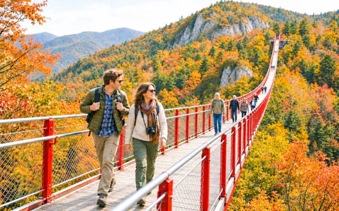 Gamaksan Suspension Bridge with hikers, surrounded by autumn foliage near DMZ, South Korea.
